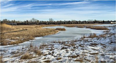 IMG_7237-Airdrie.jpg