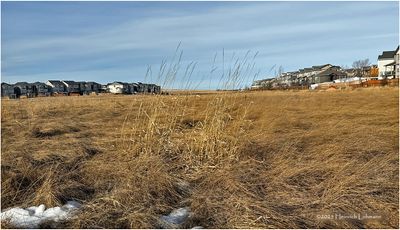 IMG_7244-Airdrie.jpg
