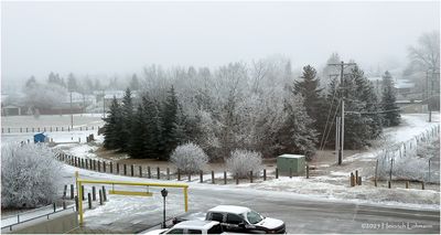 IMG_7380-Airdrie.jpg