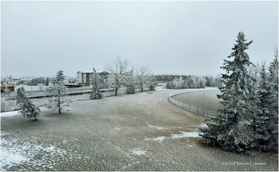 IMG_7395-Airdrie.jpg