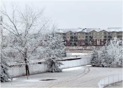 IMG_7400-Airdrie.jpg