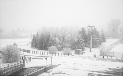 IMG_7402-2-Airdrie.jpg