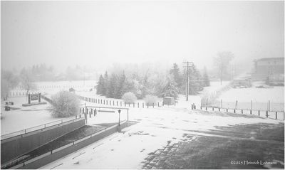 IMG_7402-Airdrie.jpg