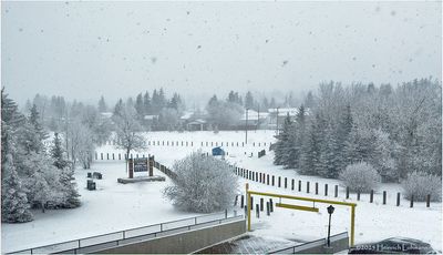 IMG_7432-Airdrie.jpg