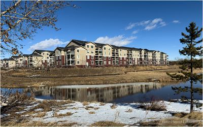 IMG_7531-Airdrie.jpg