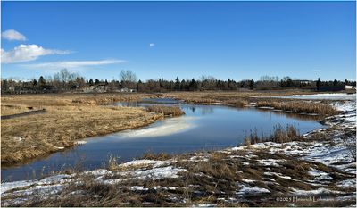 IMG_7535-Airdrie.jpg