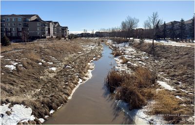 IMG_7538-Airdrie.jpg
