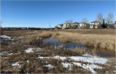 IMG_7547-Airdrie.jpg
