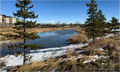IMG_7554-Airdrie.jpg