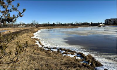 IMG_7561-Airdrie.jpg