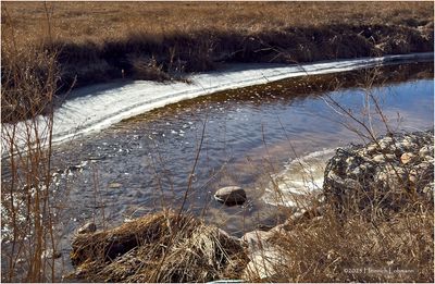 IMG_7616-Airdrie.jpg