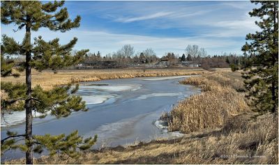 IMG_7645-Airdrie.jpg
