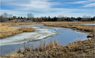 IMG_7651-Airdrie.jpg