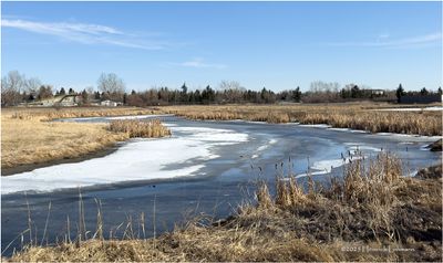 IMG_7659-Airdrie.jpg
