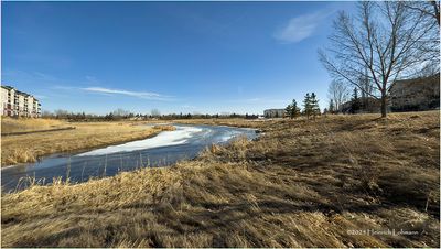 IMG_7662-Airdrie.jpg