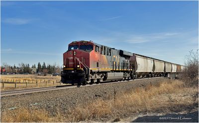 IMG_7679-Airdrie.jpg