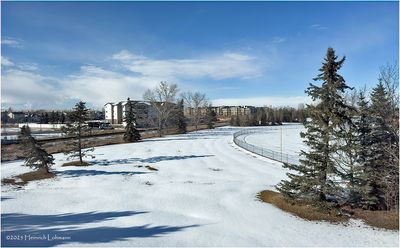 IMG_7750-Airdrie.jpg
