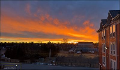 IMG_7776-Airdrie.jpg