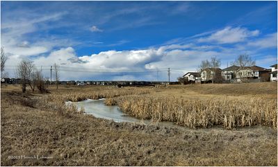 IMG_7796-Airdrie.jpg