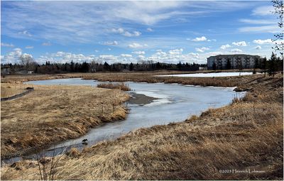 IMG_7799-Airdrie.jpg