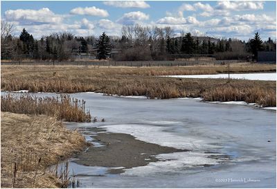 IMG_7802-Airdrie.jpg