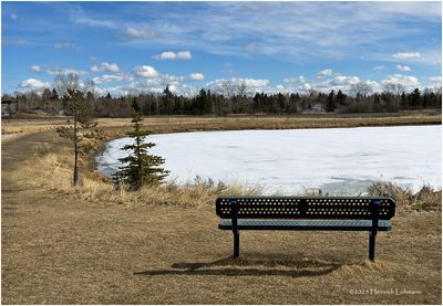 IMG_7810-Airdrie.jpg