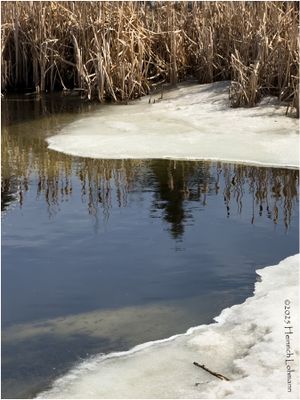 IMG_8109-Airdrie.jpg