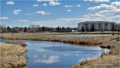 IMG_8130-Airdrie.jpg