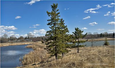 IMG_8133-Airdrie.jpg