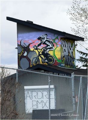 IMG_8162-Airdrie.jpg