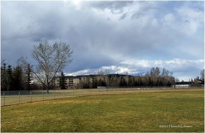IMG_8200-Airdrie.jpg