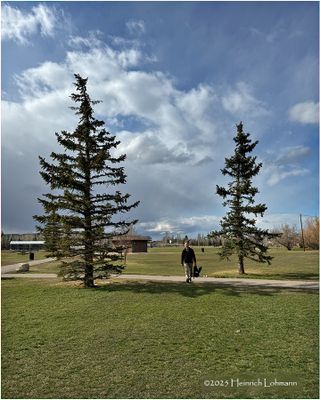 IMG_8206-Airdrie.jpg