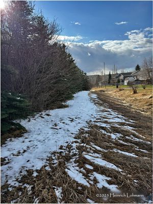 IMG_8260-Airdrie.jpg