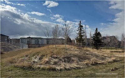 IMG_8274-Airdrie.jpg