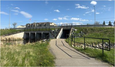 IMG_0065-Airdrie.jpg