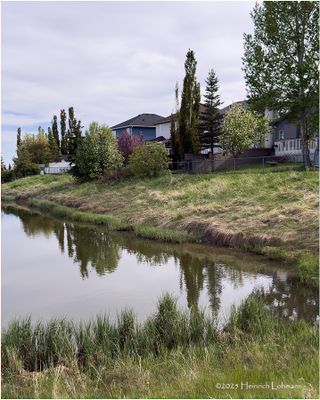 IMG_0088-Airdrie.jpg