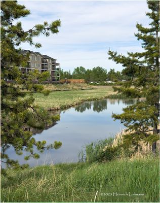IMG_0131-Airdrie.jpg