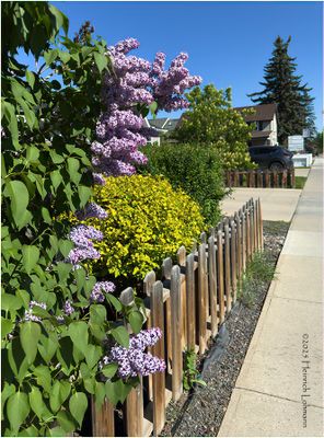 IMG_0182-Aurdrie.jpg