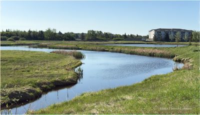 IMG_0217-Airdrie.jpg