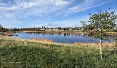 IMG_8590-Airdrie.jpg