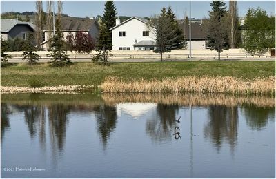 IMG_8596-Airdrie.jpg