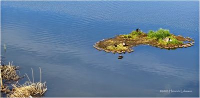 IMG_8597-Airdrie.jpg