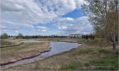 IMG_8676-Airdrie.jpg