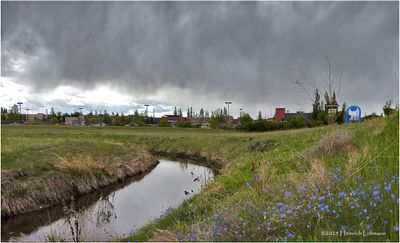 IMG_0302-Airdrie.jpg