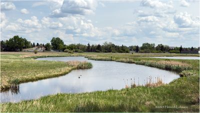 IMG_0330-Airdrie.jpg