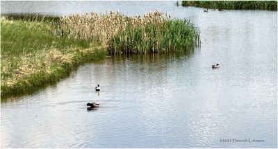 IMG_0335-Airdrie.jpg