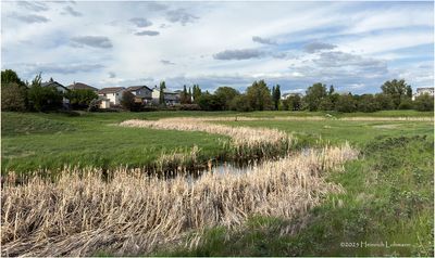 IMG_0365-Airdrie.jpg