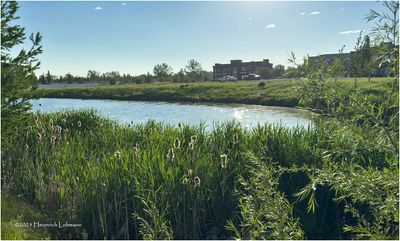 IMG_0416-Airdrie.jpg