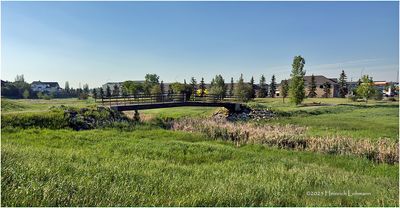 IMG_0460-Airdrie.jpg