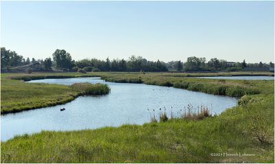 IMG_0483-Airdrie.jpg